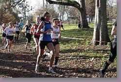 Begles 15.12.13 01 735 * 679 x 453 * (215KB)